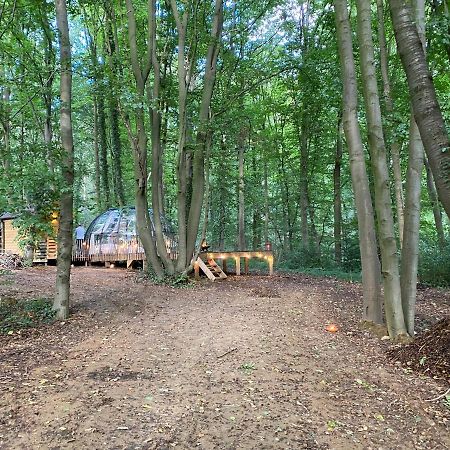 Le Dome De Namur - Une Nuit Insolite Dans Les Bois Екстериор снимка
