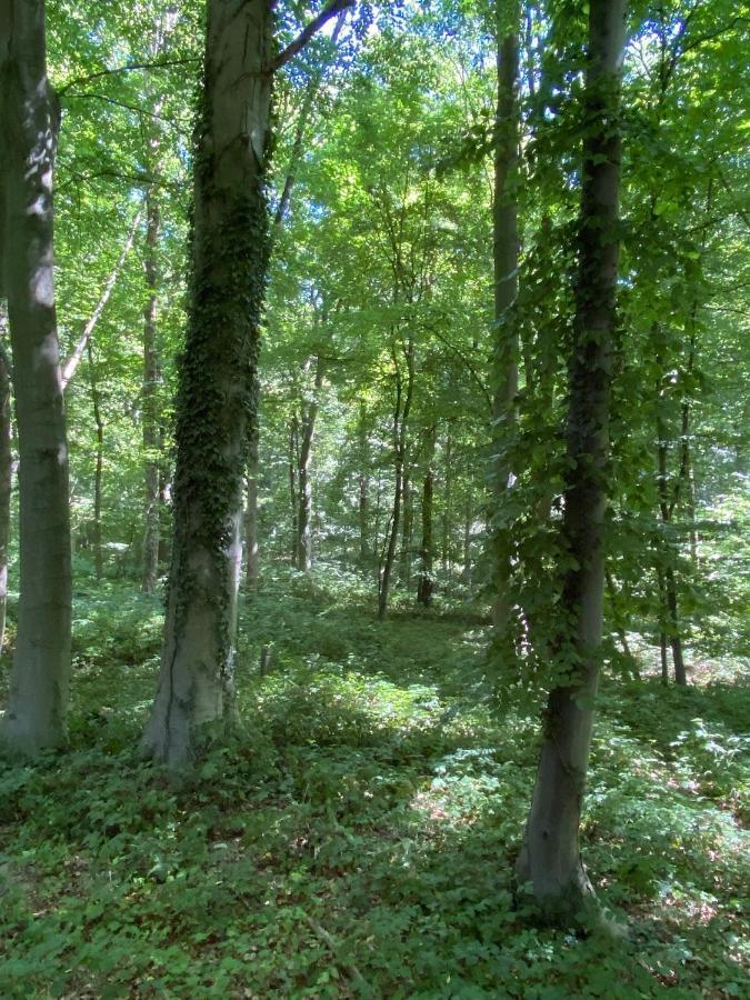 Le Dome De Namur - Une Nuit Insolite Dans Les Bois Екстериор снимка