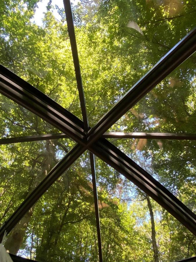 Le Dome De Namur - Une Nuit Insolite Dans Les Bois Екстериор снимка