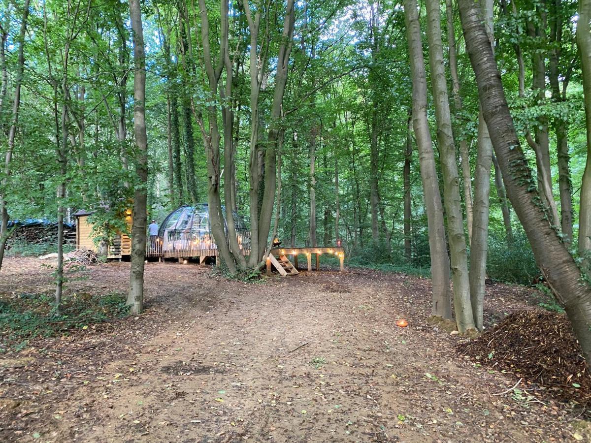 Le Dome De Namur - Une Nuit Insolite Dans Les Bois Екстериор снимка