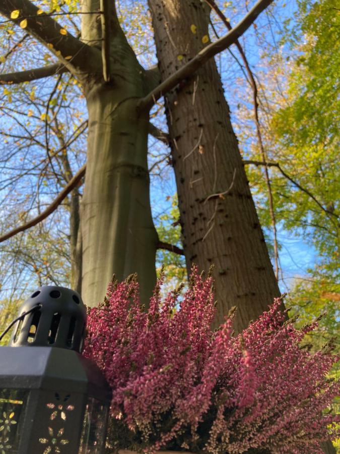 Le Dome De Namur - Une Nuit Insolite Dans Les Bois Екстериор снимка