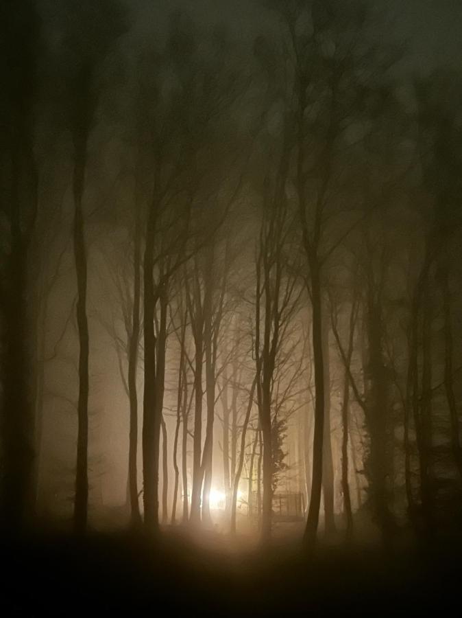 Le Dome De Namur - Une Nuit Insolite Dans Les Bois Екстериор снимка