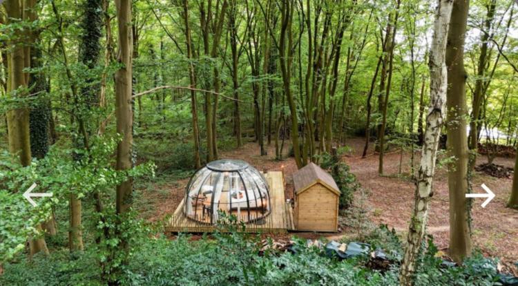 Le Dome De Namur - Une Nuit Insolite Dans Les Bois Екстериор снимка