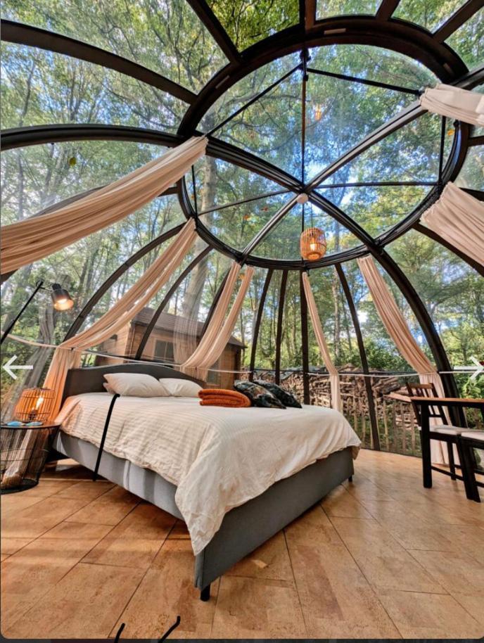 Le Dome De Namur - Une Nuit Insolite Dans Les Bois Екстериор снимка